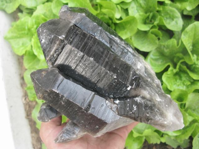 Crystal Wizard Tibetan Black Quartz Cluster stones seem to emanate a ...