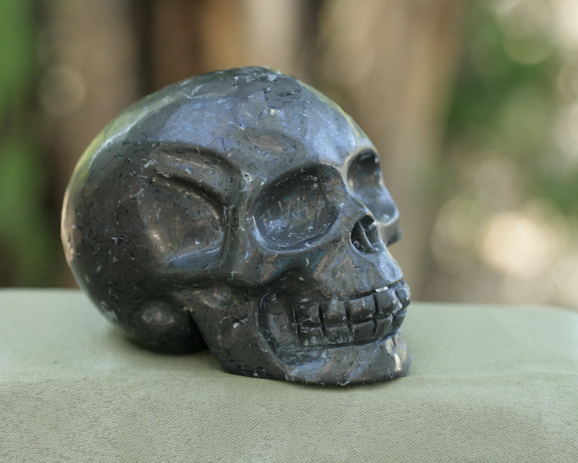 Shungite Skull 5497